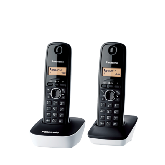 PANASONIC KXTG1612